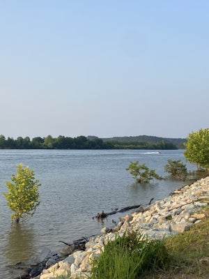 0 RIVER FRONT DRIVE, CLIFTON, TN 38425 - Image 2a1516dc9b11d5ebbf17c43d4e402378/1322848892