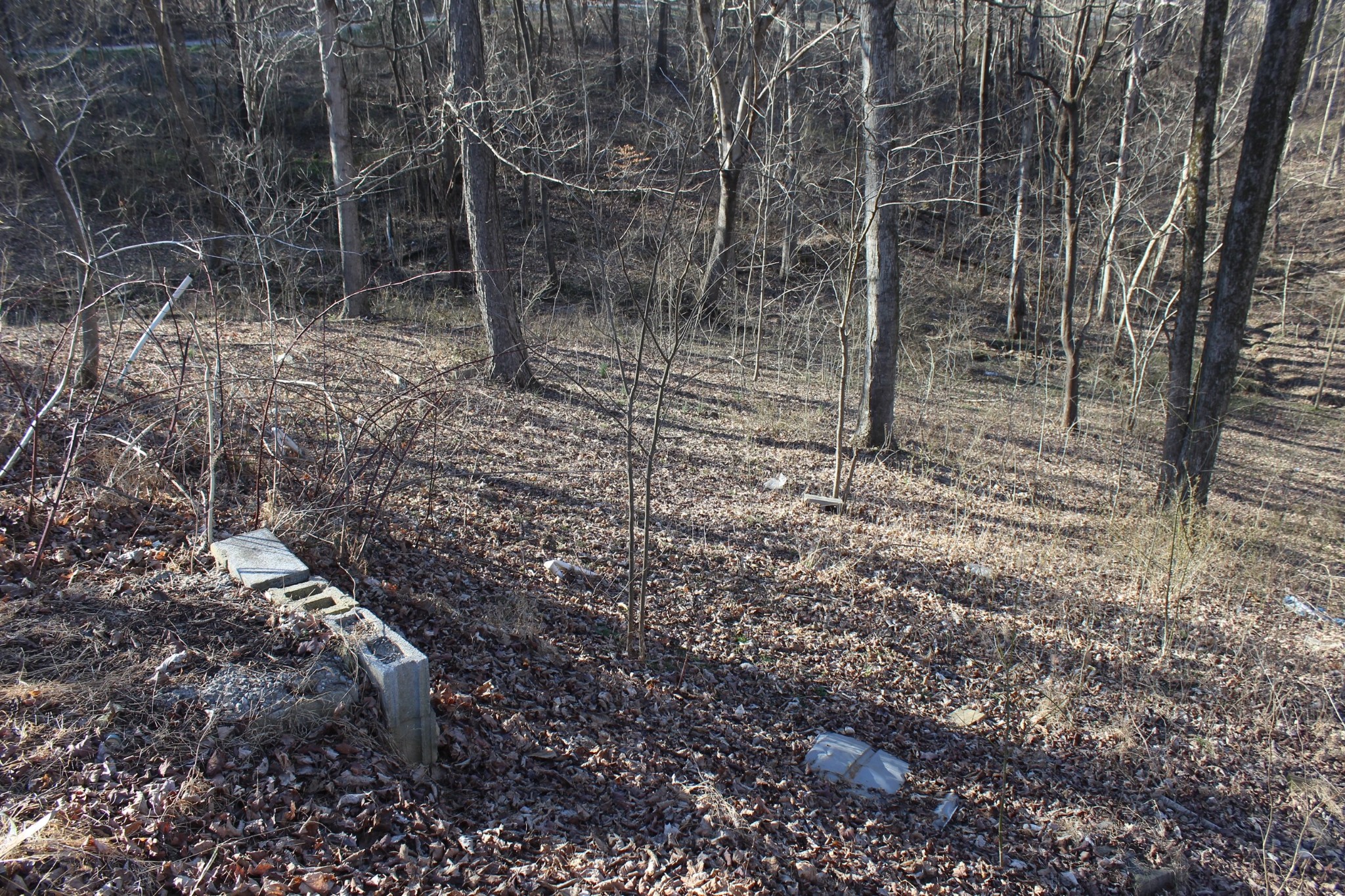 1784 Shrum Cemetery Rd