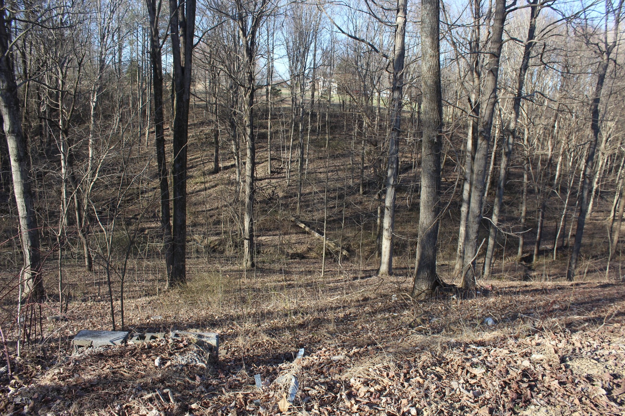 1784 Shrum Cemetery Rd