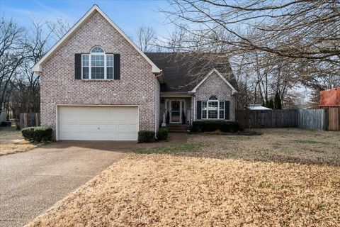 3182 Jenkins Dr Murfreesboro TN 37128