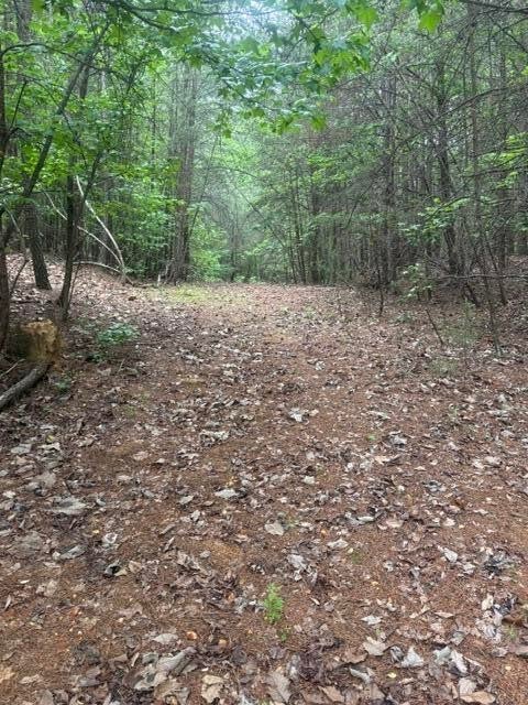 0 Candies Creek Road SW