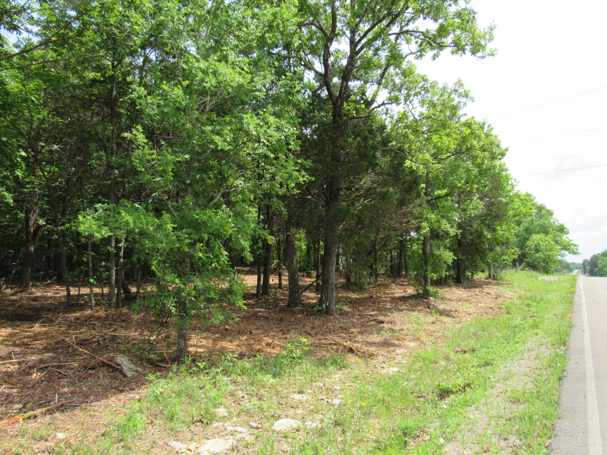 Middle Tennessee Properties 3 0 Morgan Rd