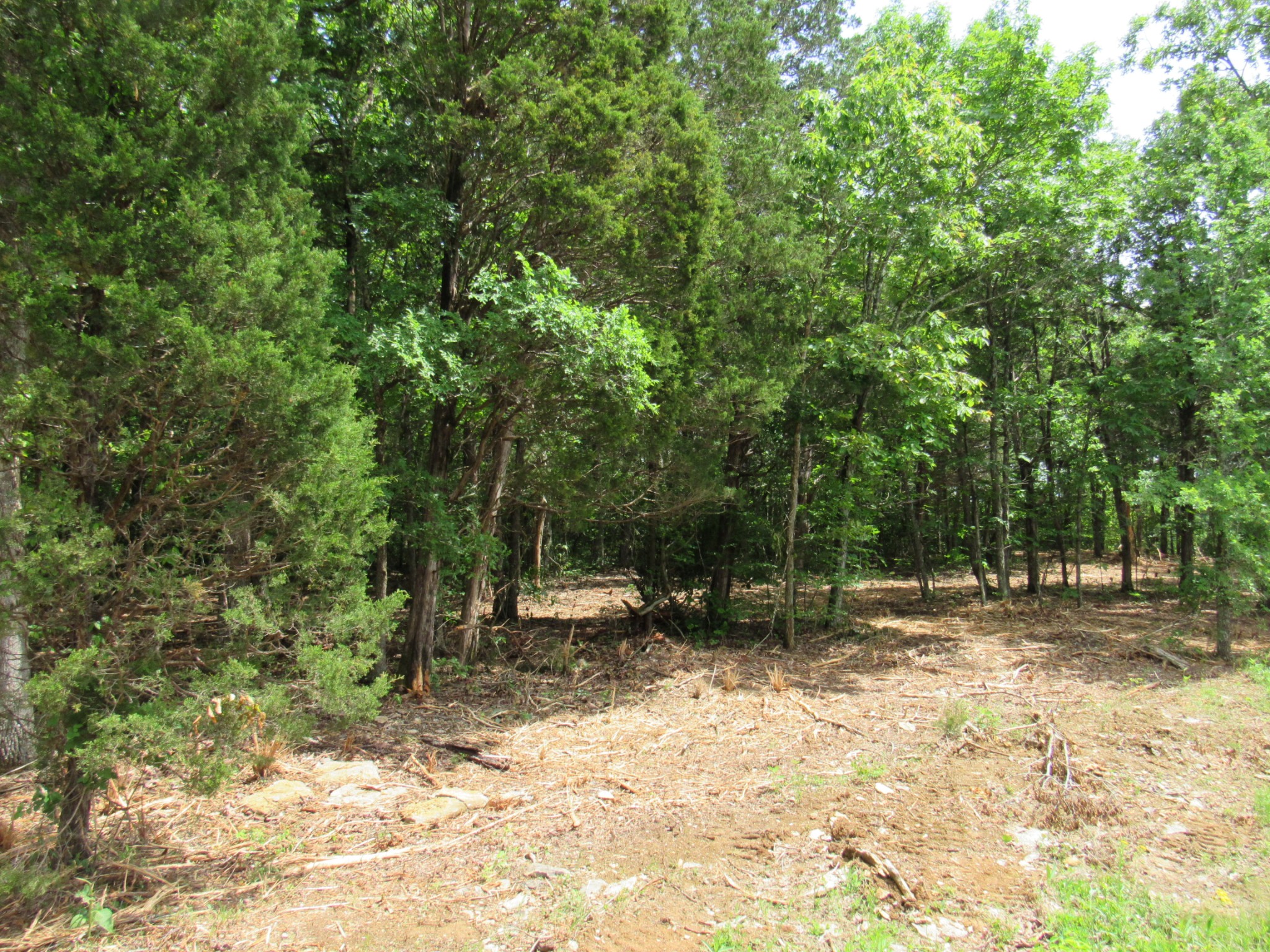 Middle Tennessee Properties 4 0 Morgan Rd