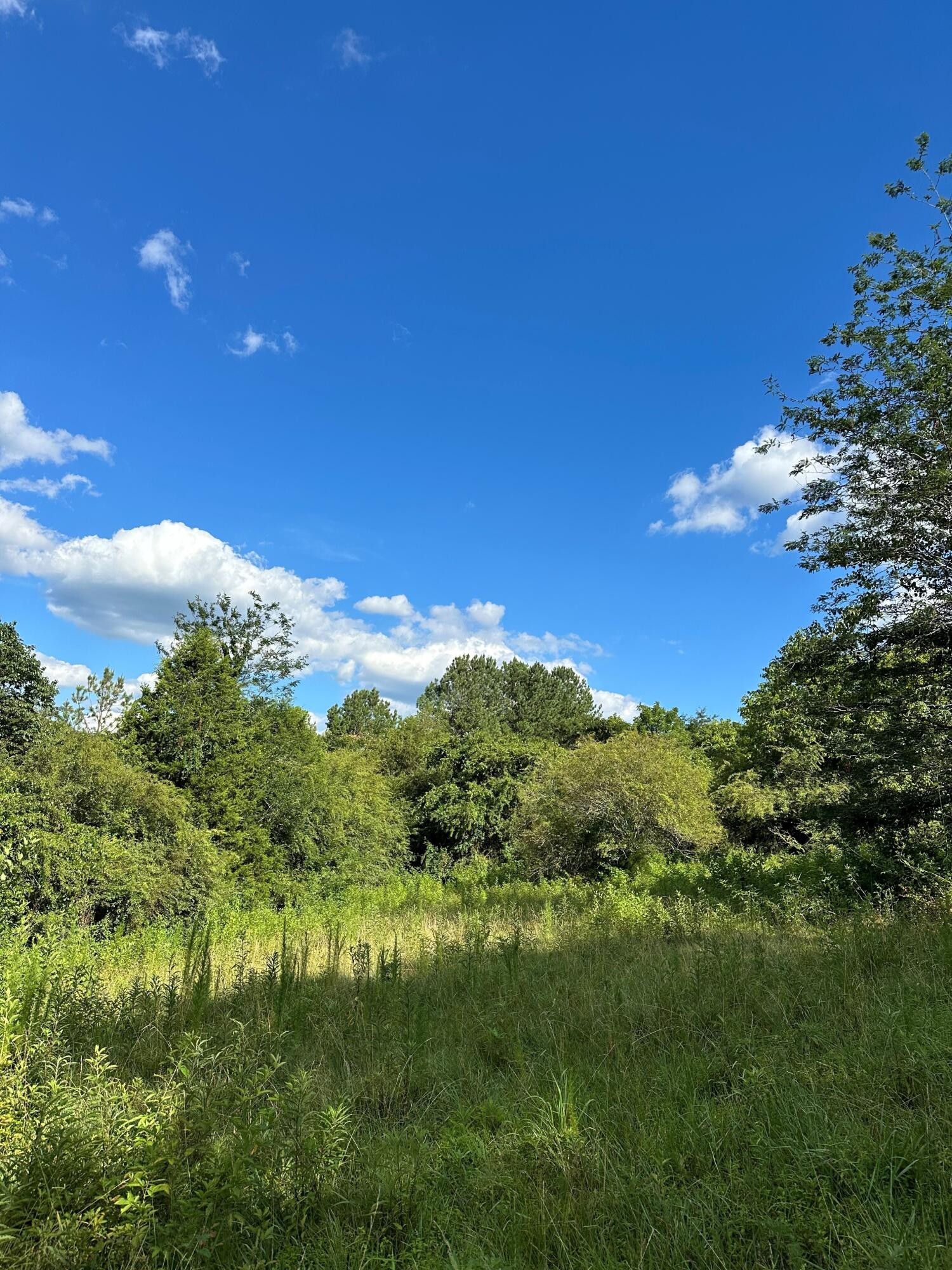 14 Battle Creek Road