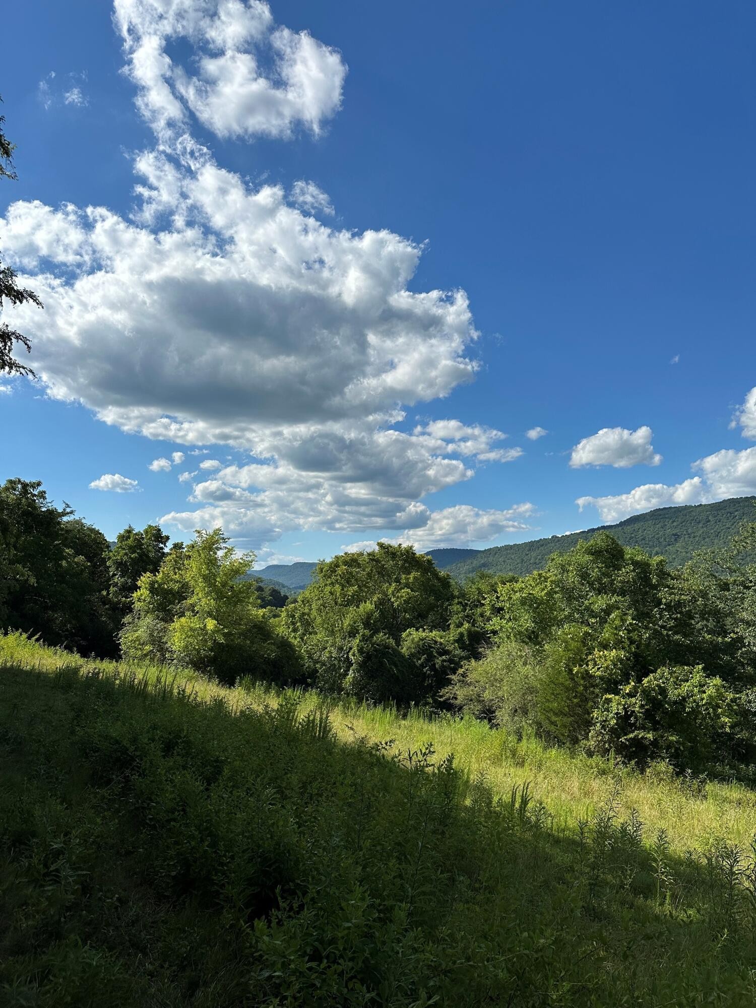 14 Battle Creek Road