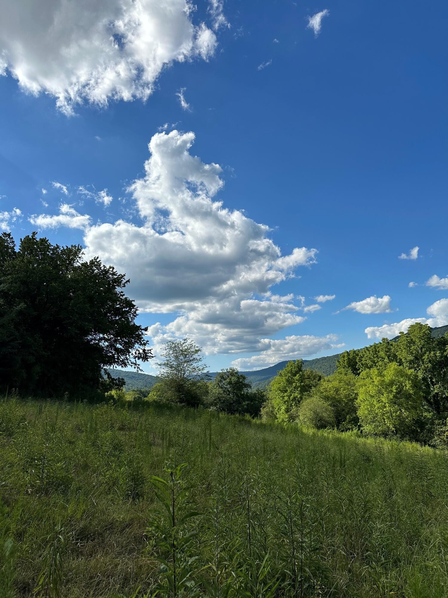 14 Battle Creek Road