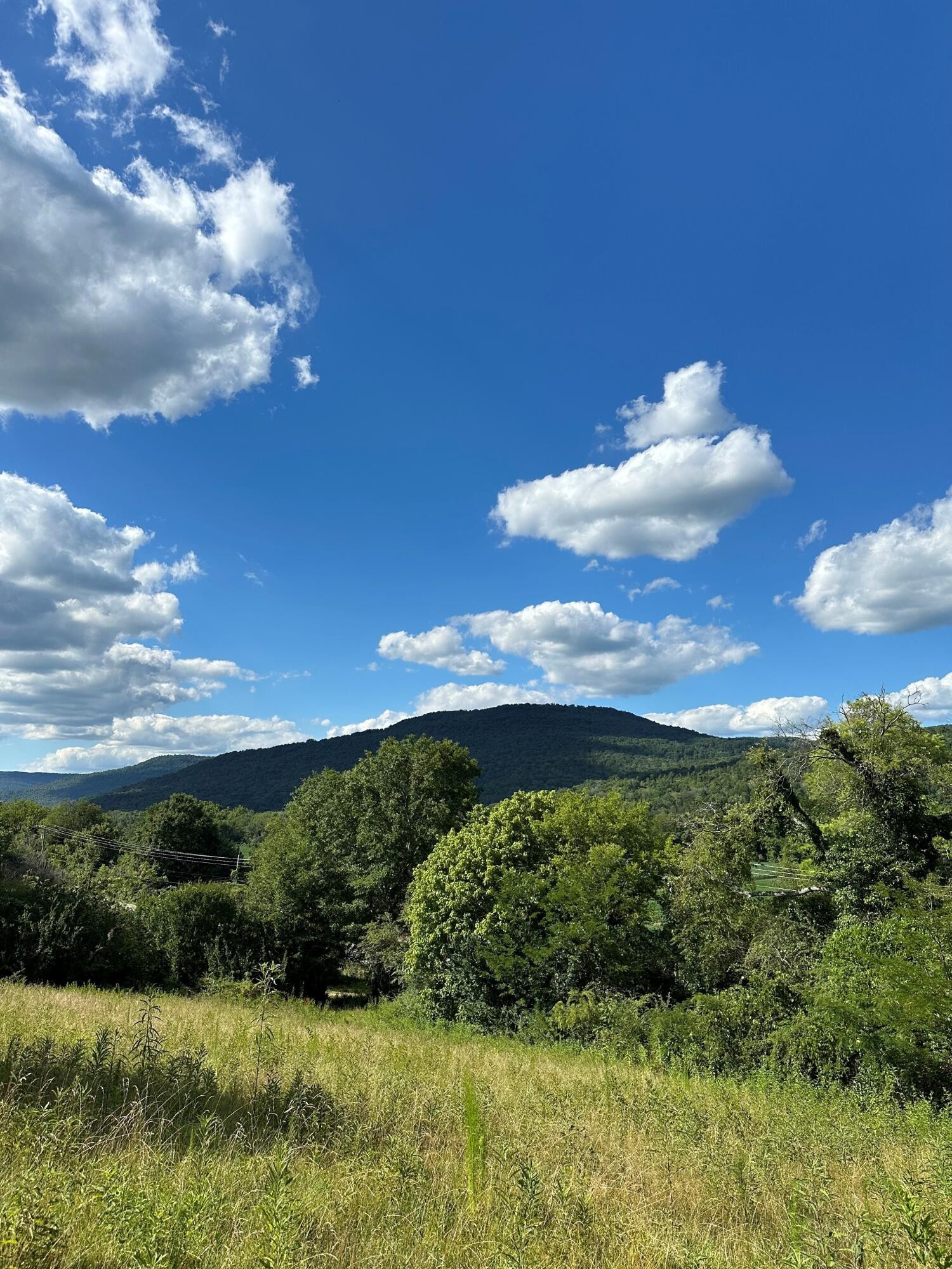 14 Battle Creek Road