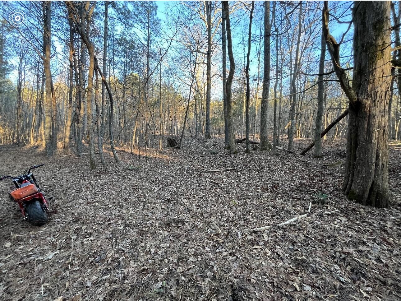 0 County Road 956