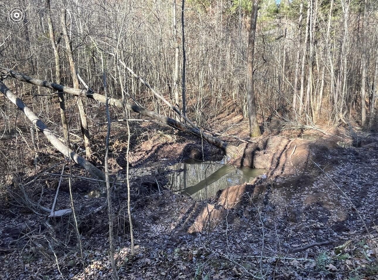 0 County Road 956