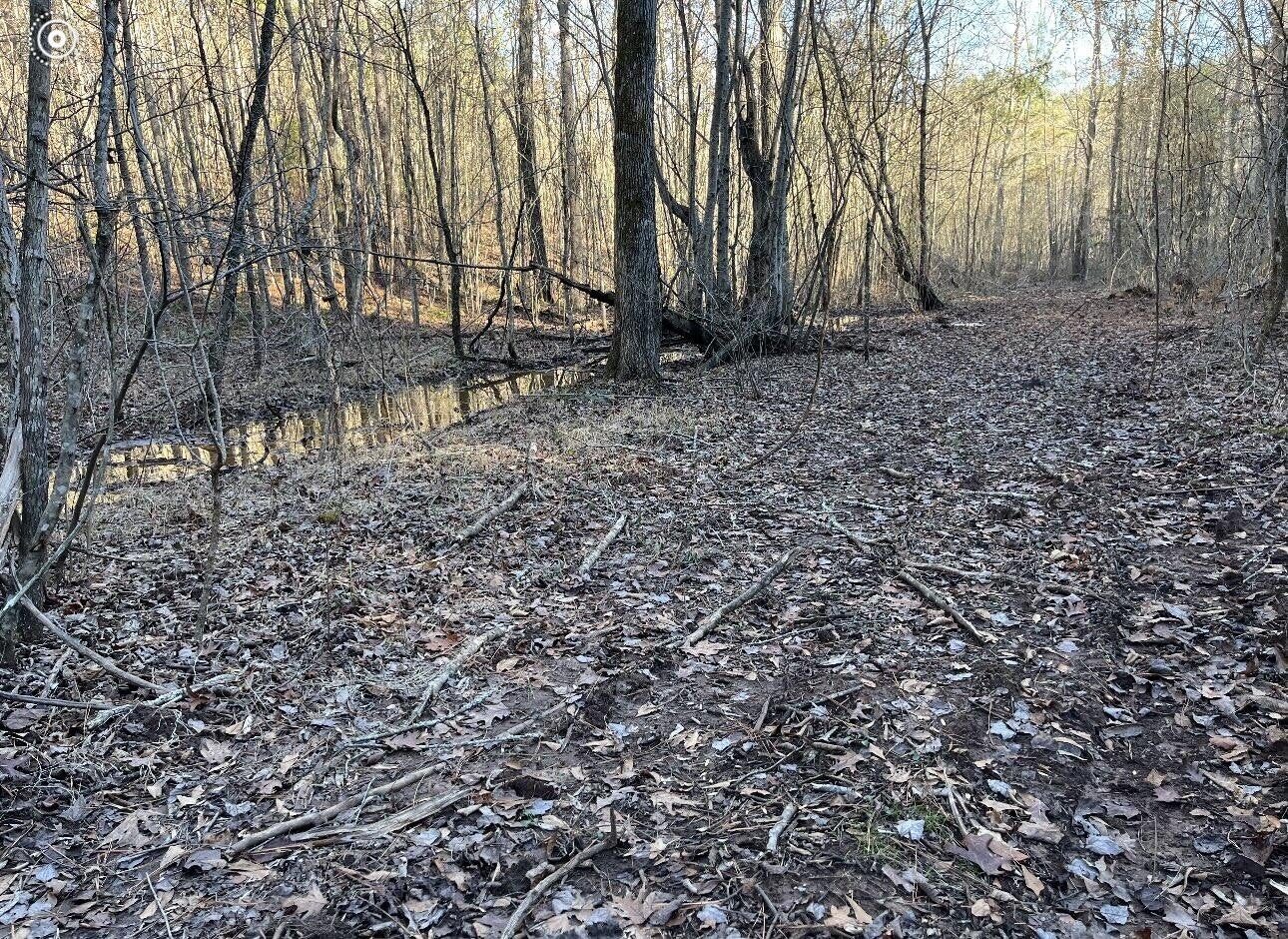 0 County Road 956
