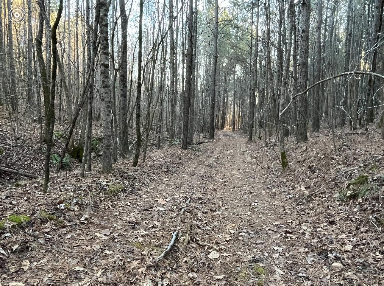 0 County Road 956