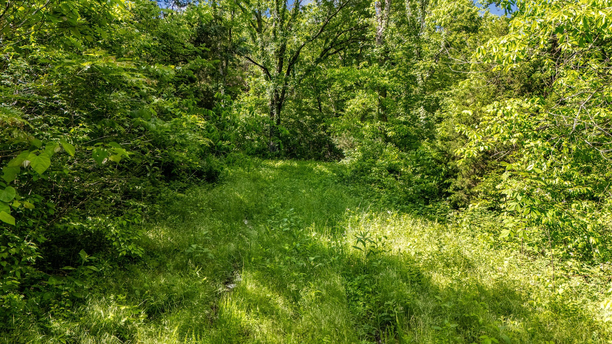 475 Old Elkton Pike