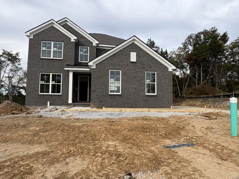 1176 Sydney Terrace Mount Juliet TN 37122