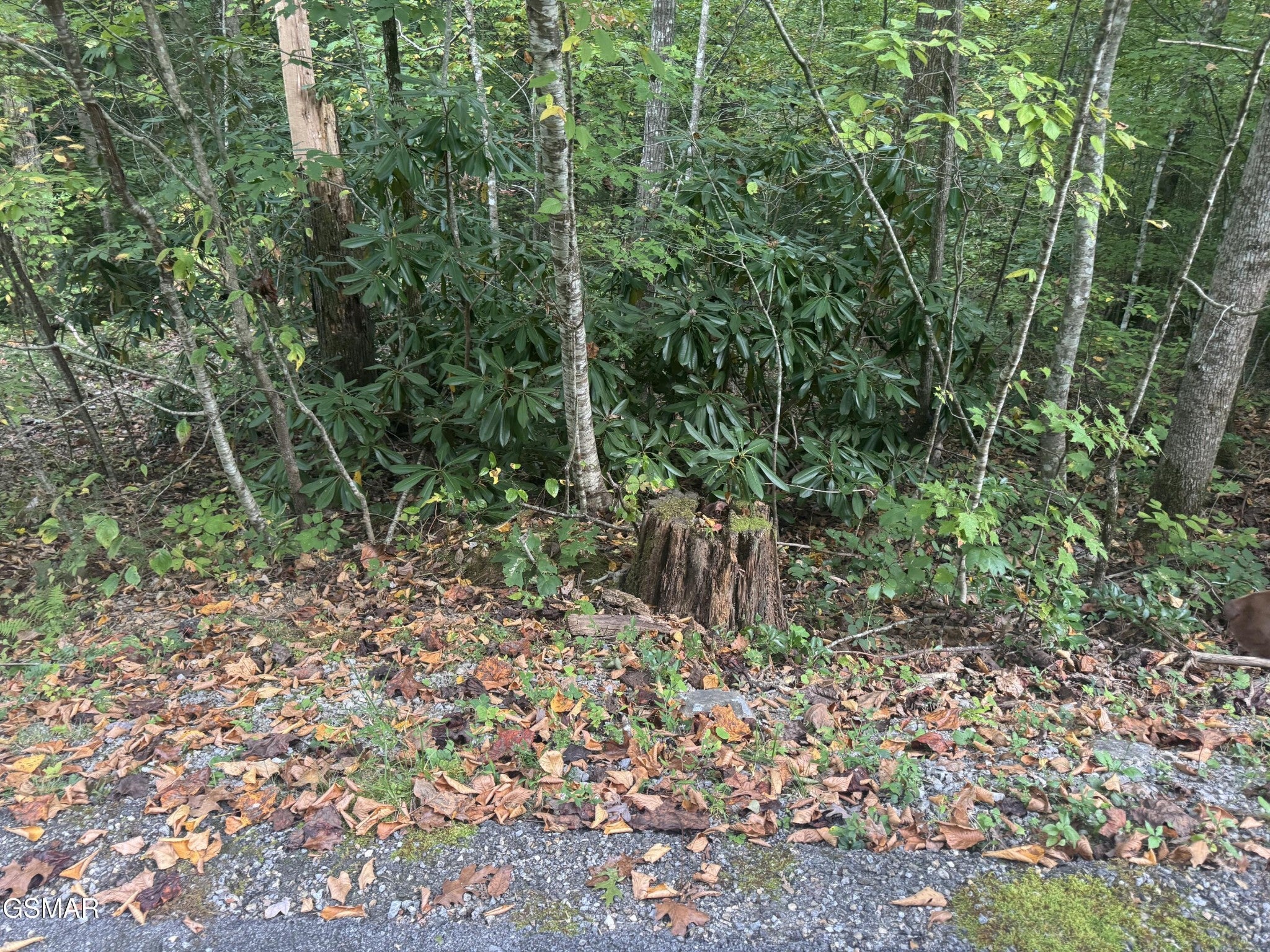 27 Pinnacle Vista Road