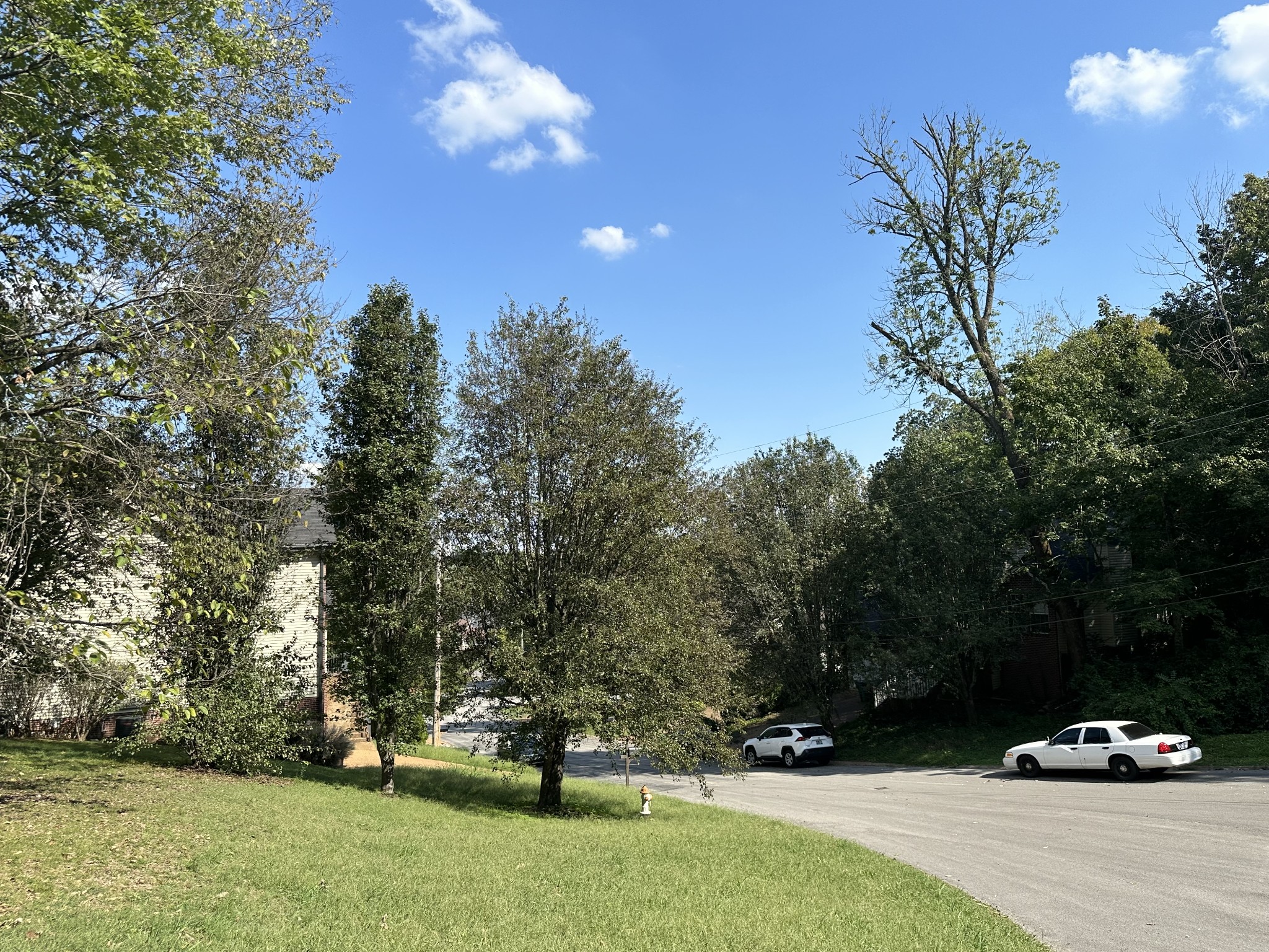 228 Walking Horse Hl