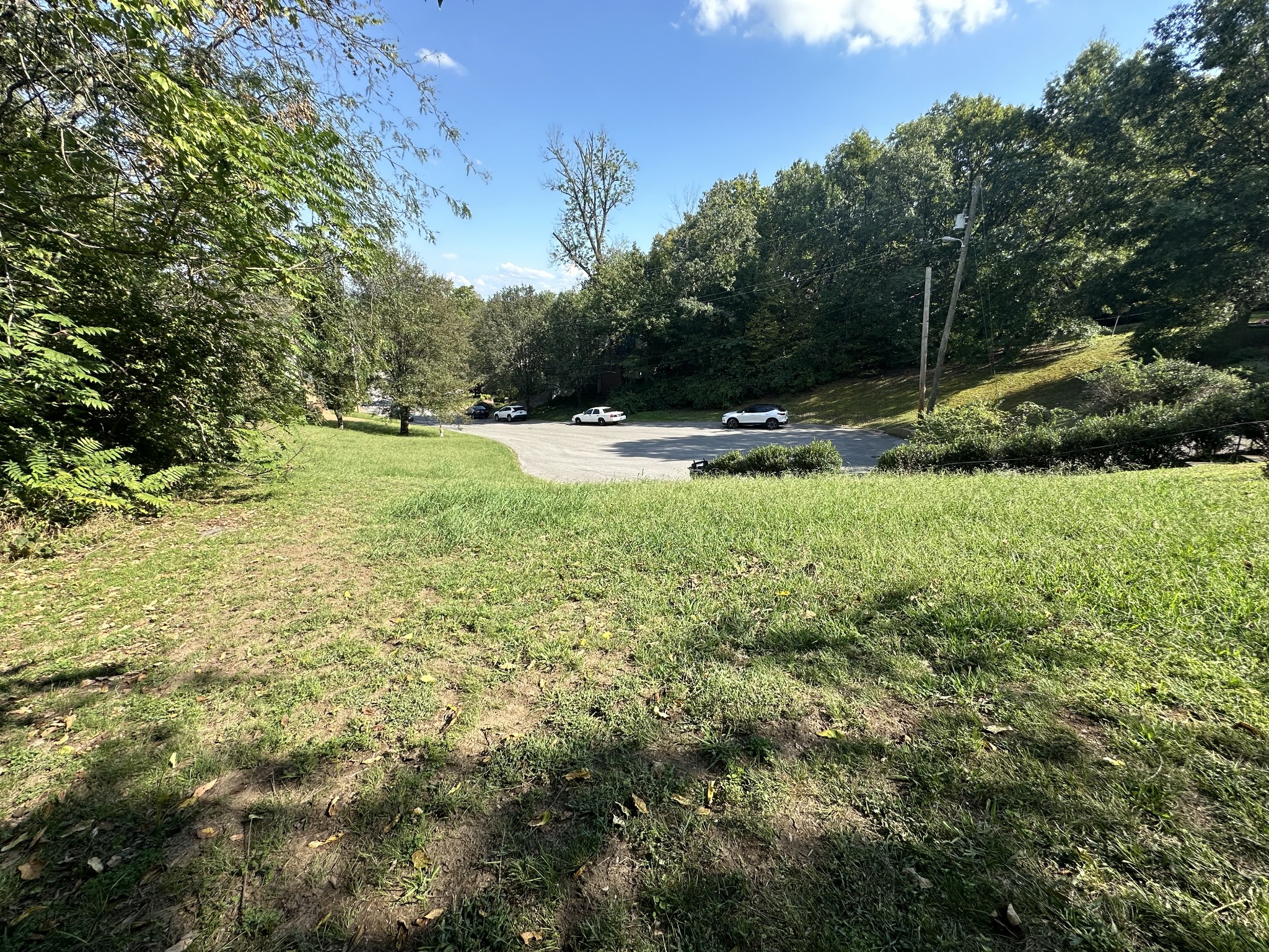 228 Walking Horse Hl