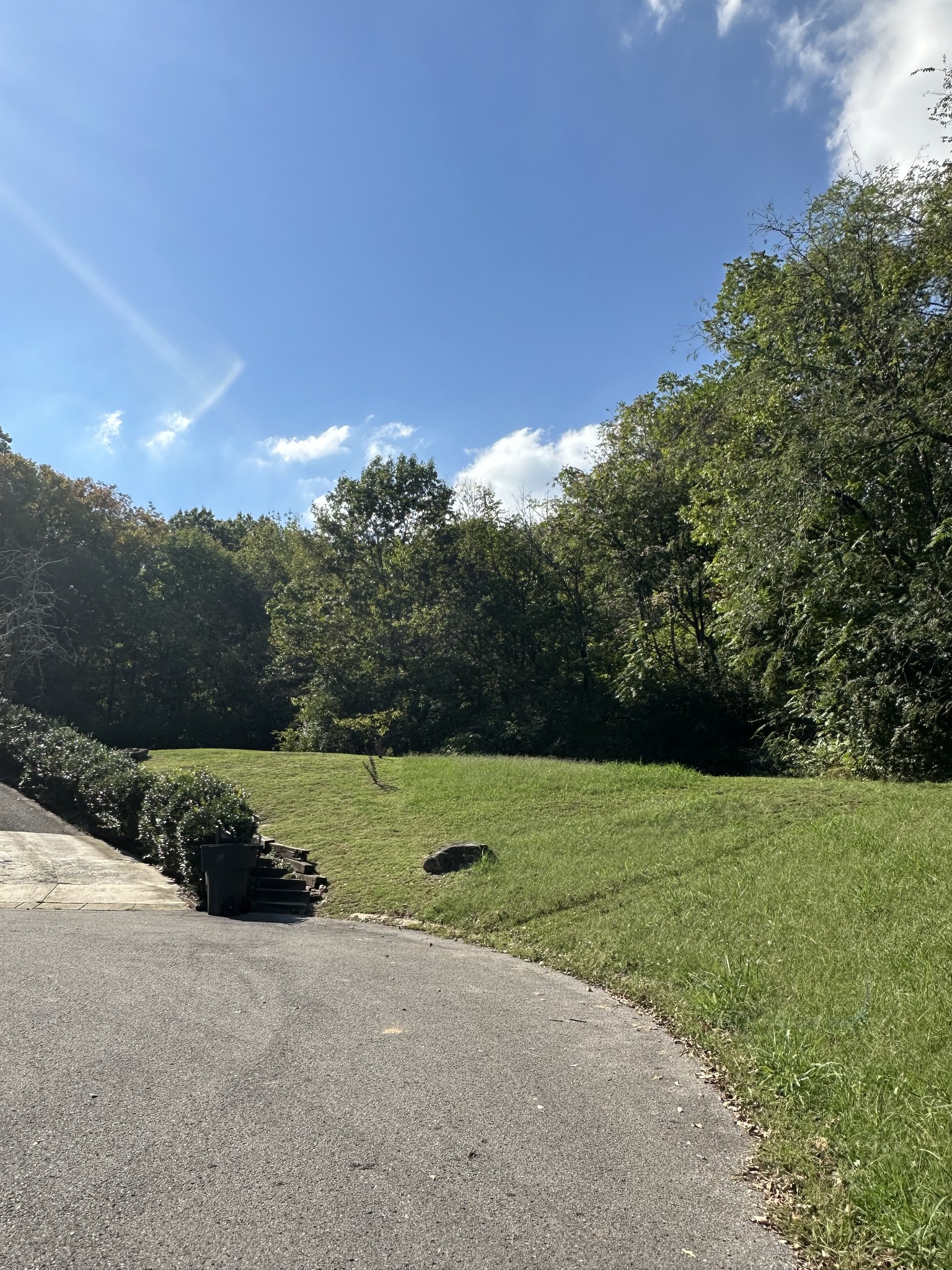 228 Walking Horse Hl