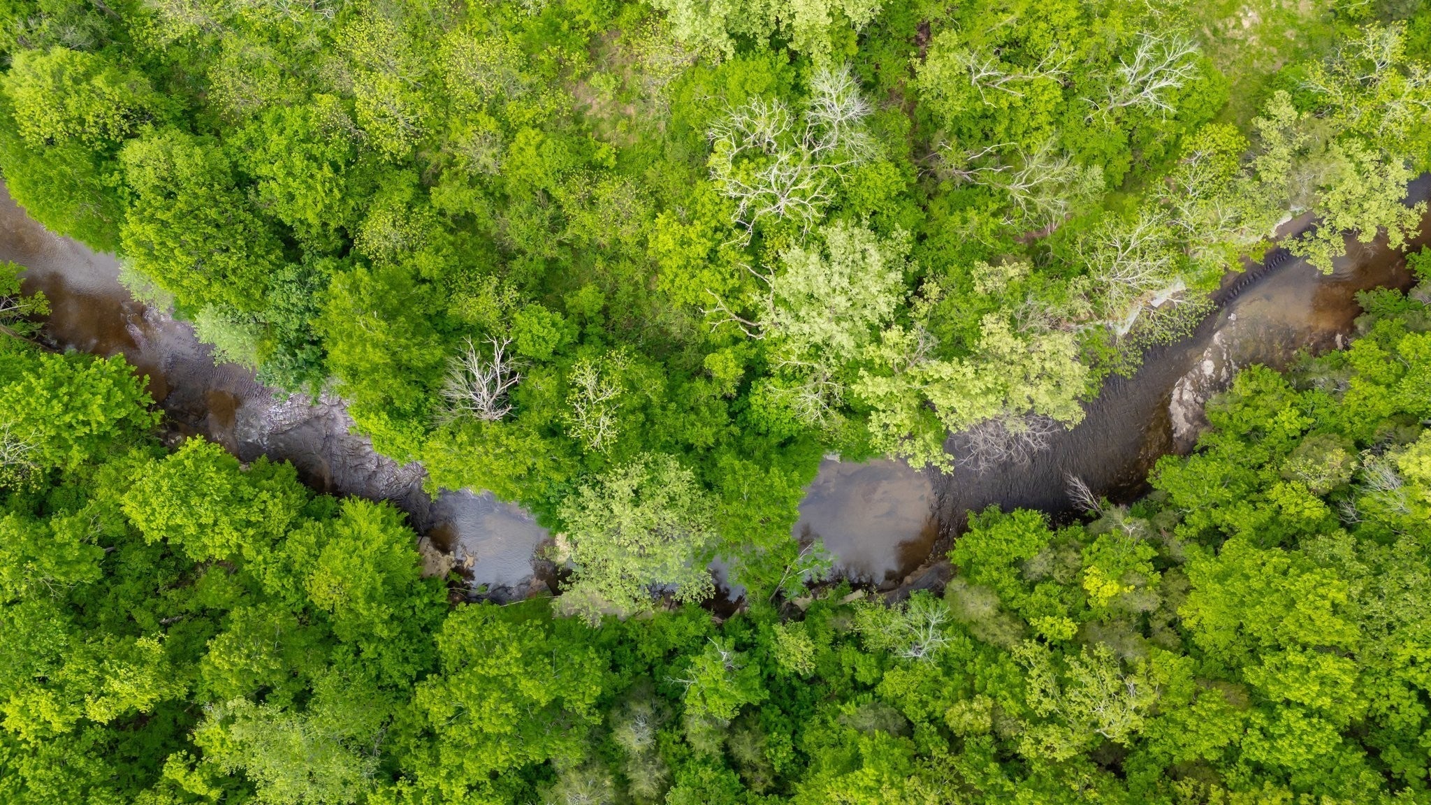 0 Crow Cut Rd