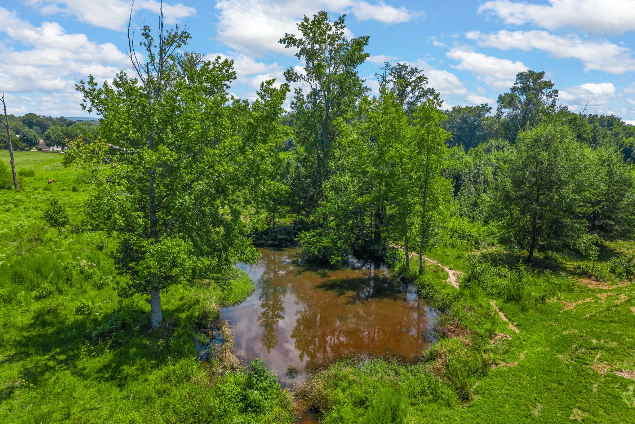 324 Laster Holman Rd