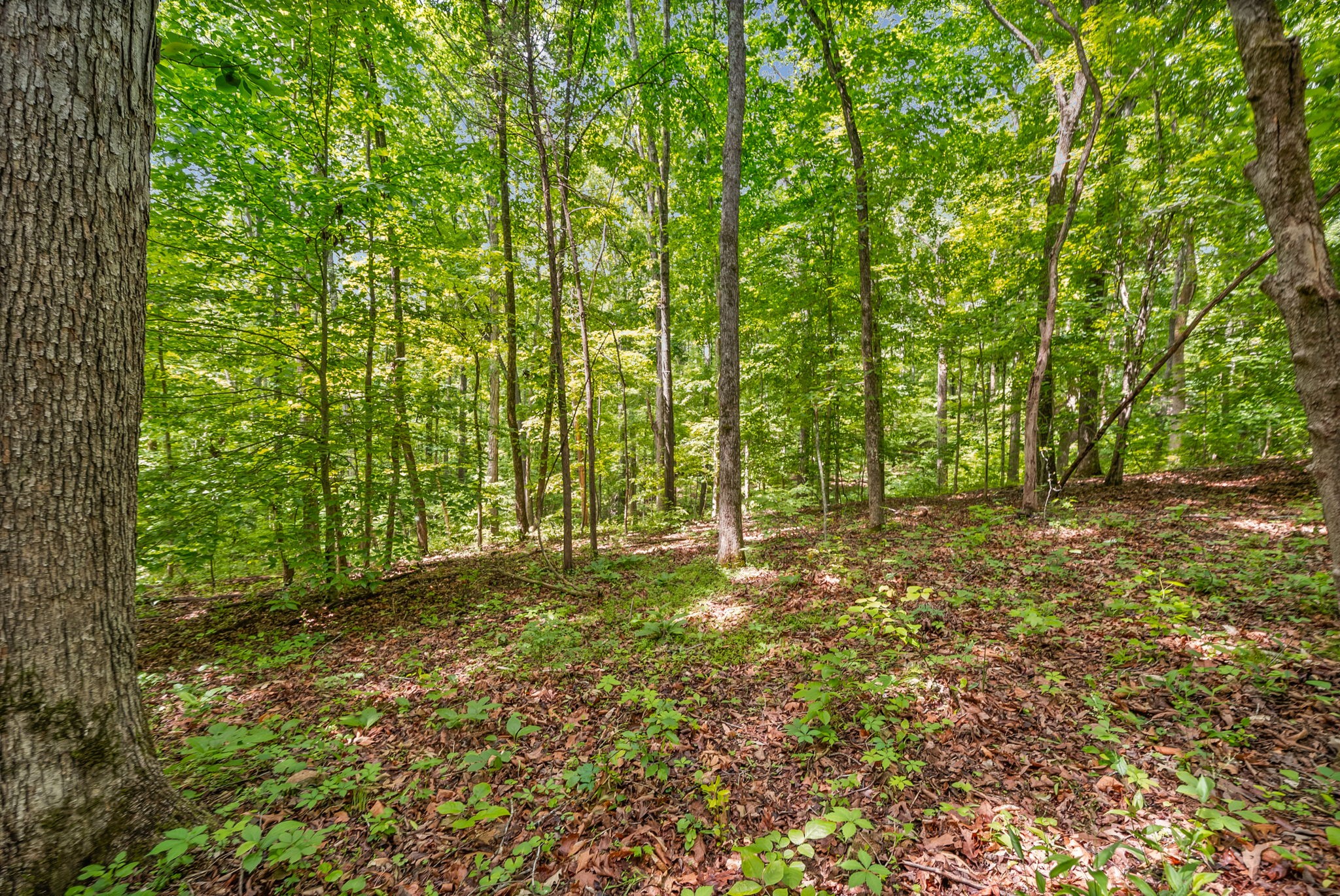 1 Budds Creek Road