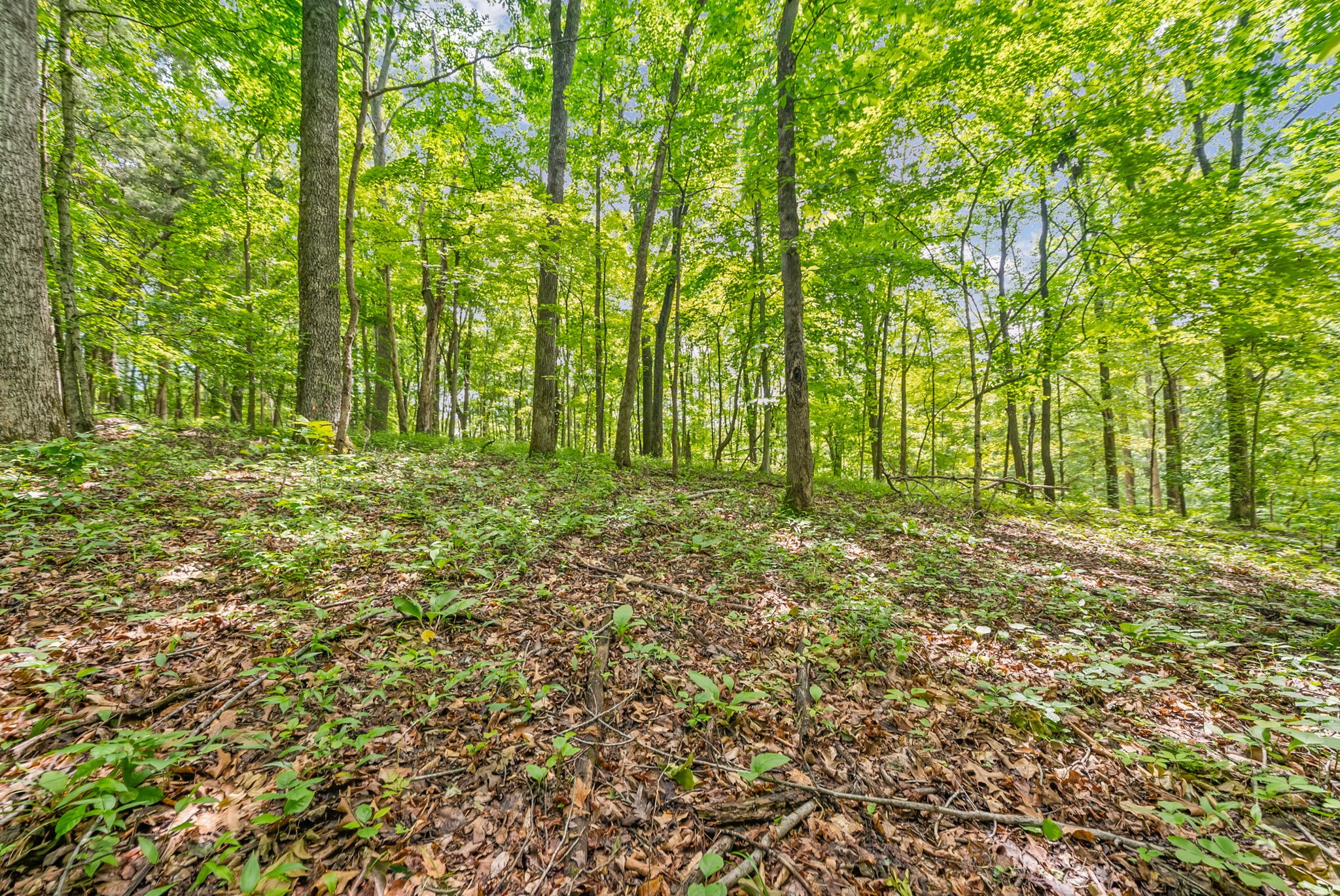 1 Budds Creek Road
