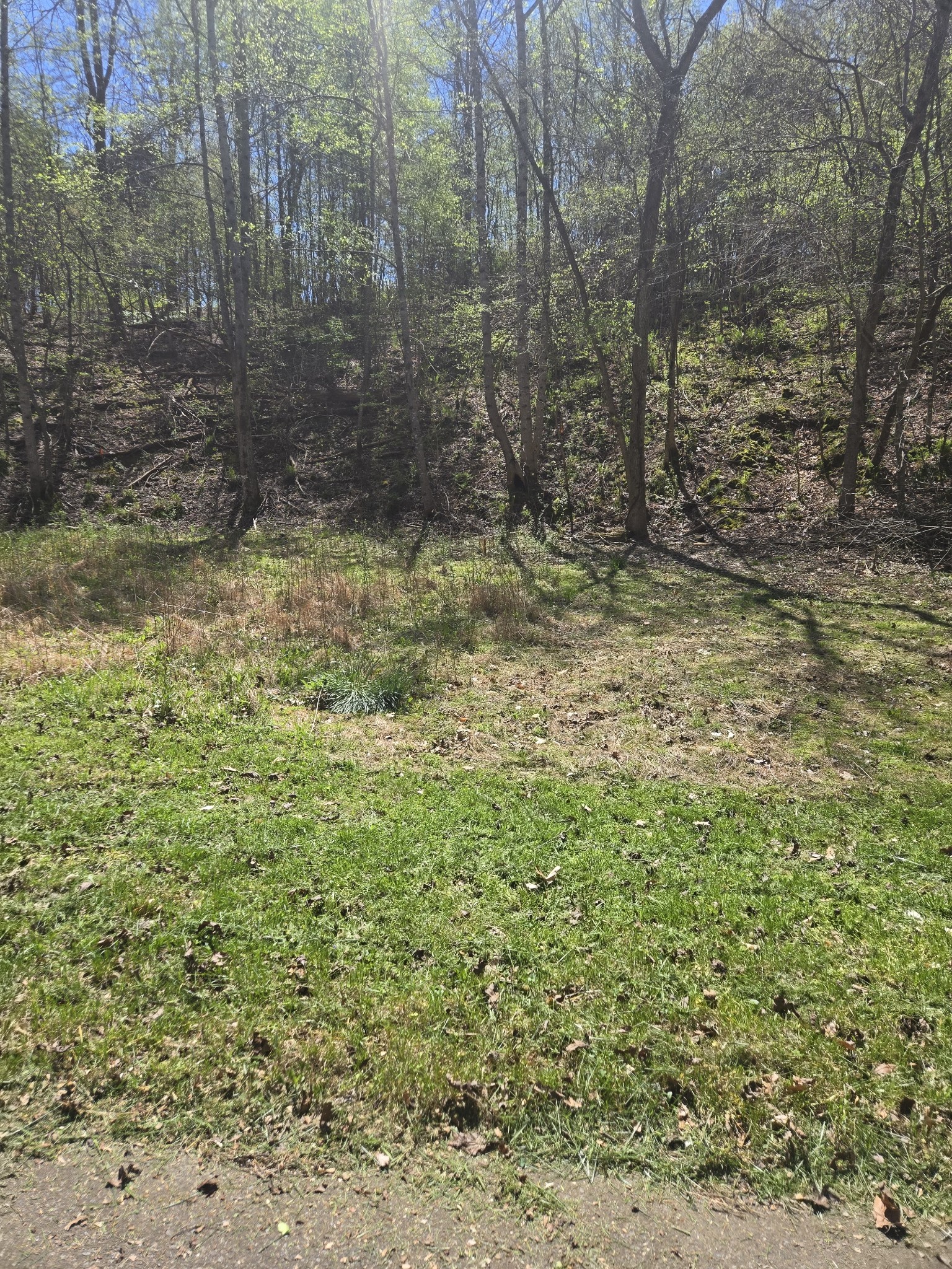 Dickson, Tennessee 37055, United States, ,Land,Active,108567