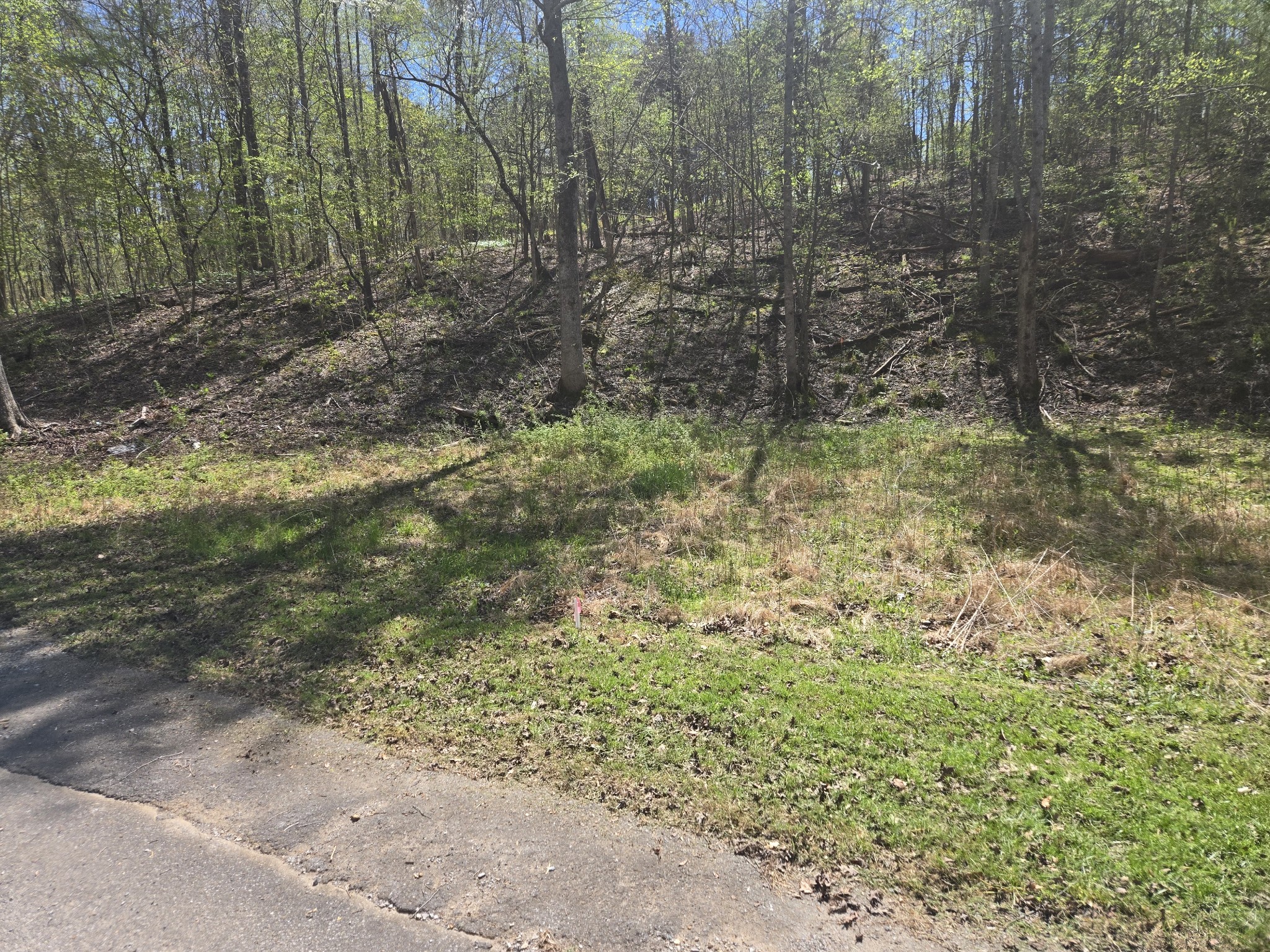 Dickson, Tennessee 37055, United States, ,Land,Active,108567