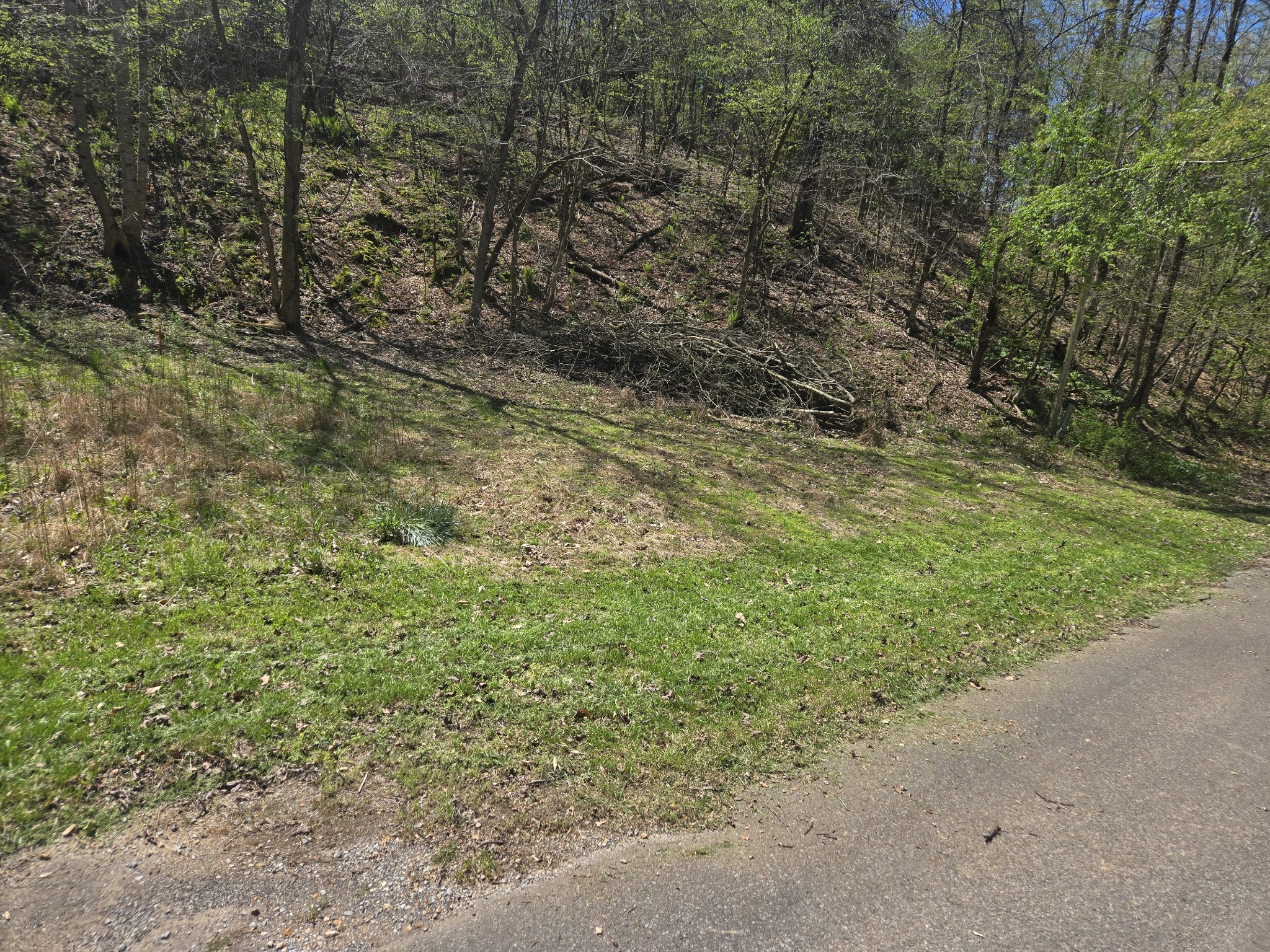 Dickson, Tennessee 37055, United States, ,Land,Active,108567