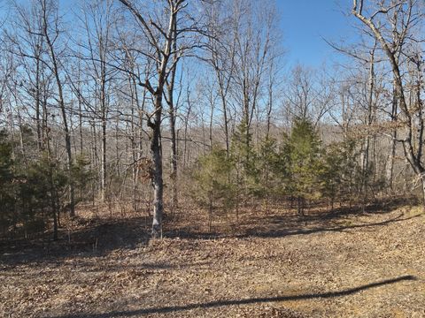 146 Wyatt Lane Linden TN 37096