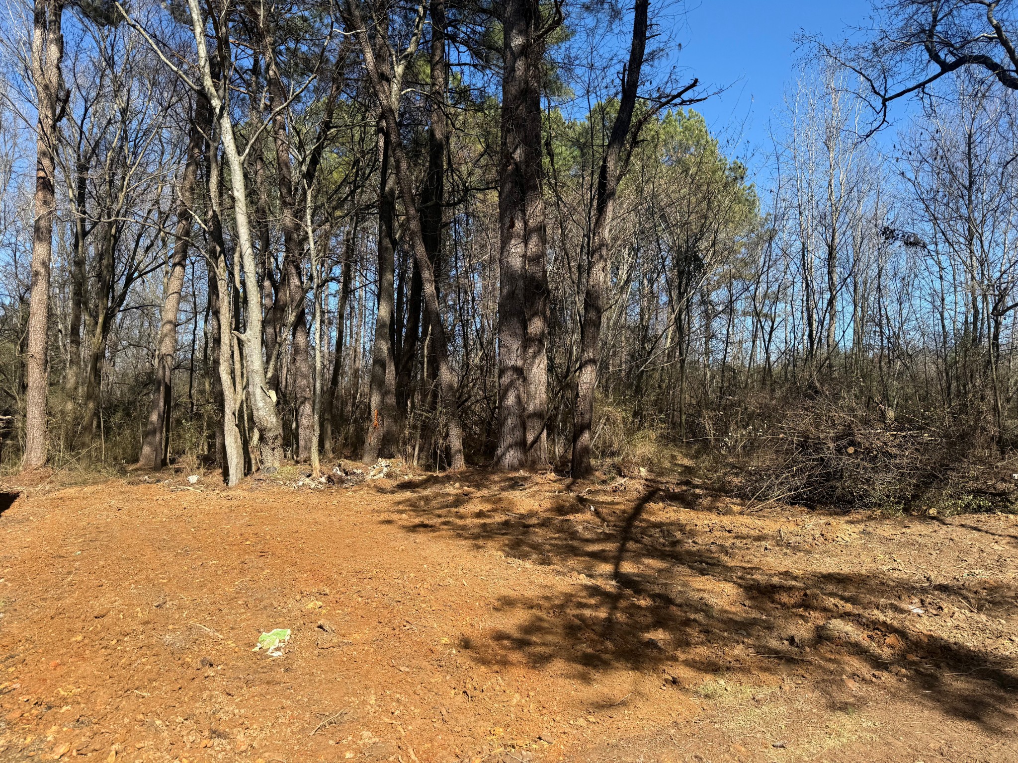 17315 AL Highway 251