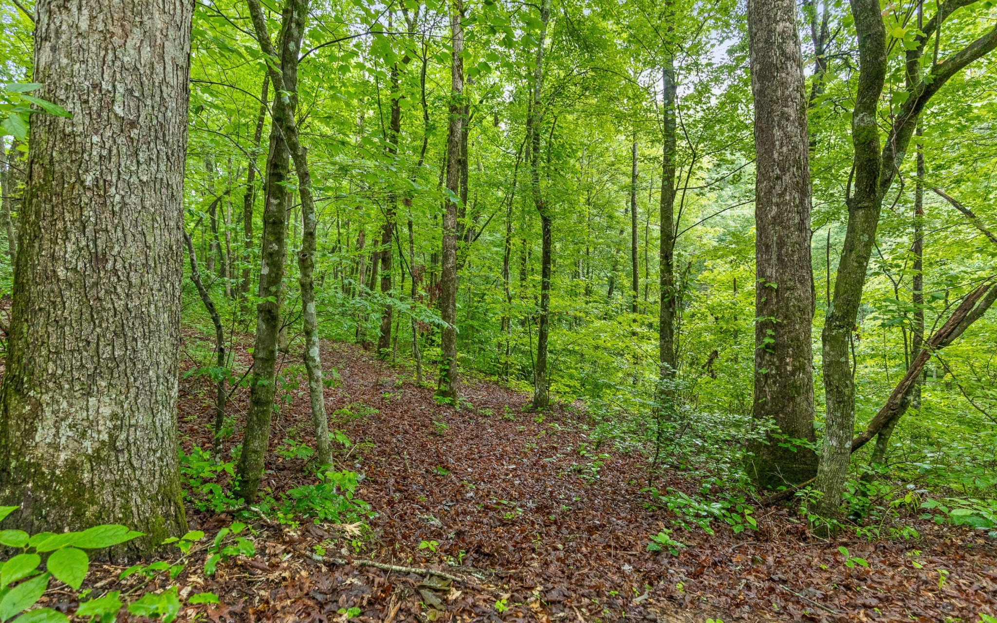 837 Skyline Park Drive