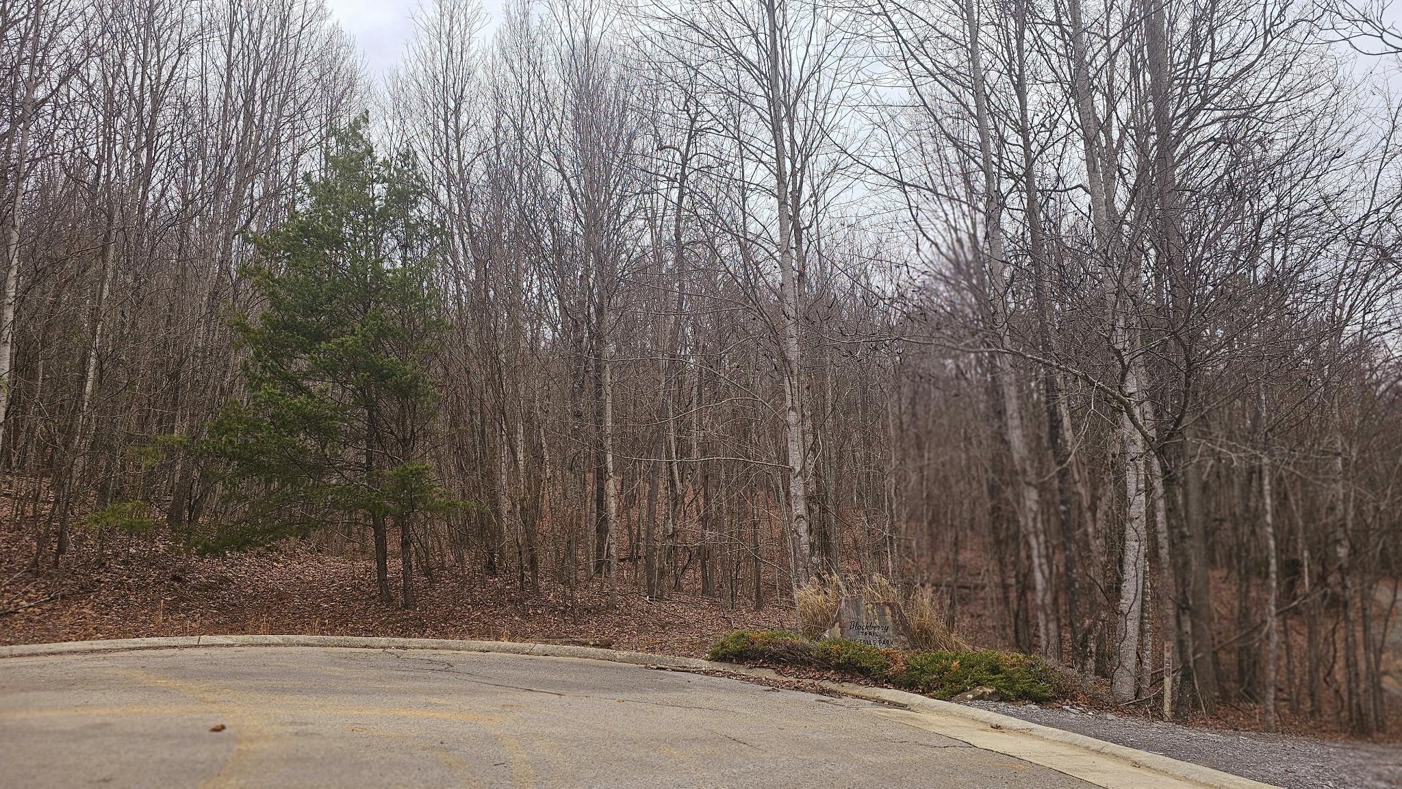 0 Mountain Top Trail