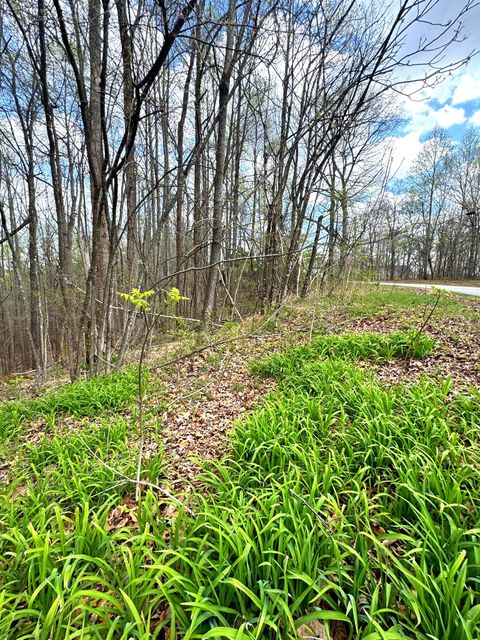 0 Coconut Ridge Rd Smithville TN 37166