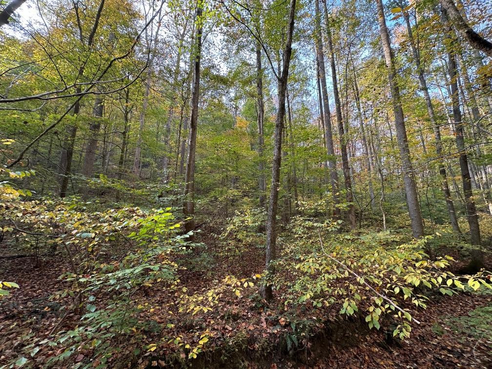 8180 Old Charlotte Pike