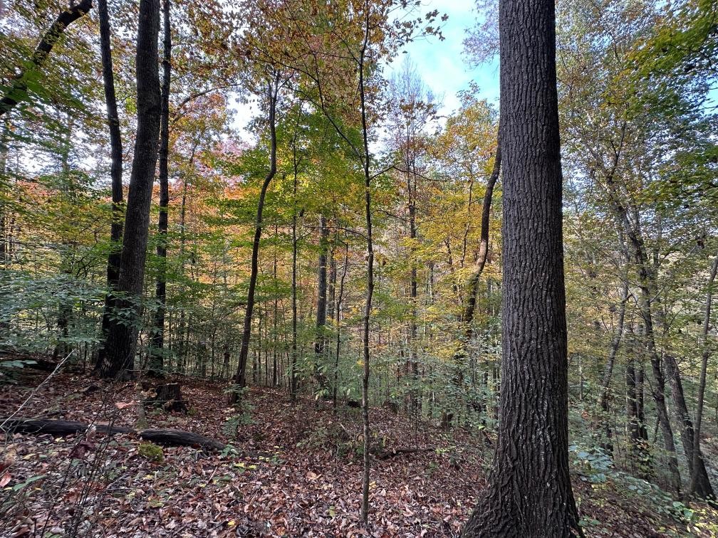 8180 Old Charlotte Pike