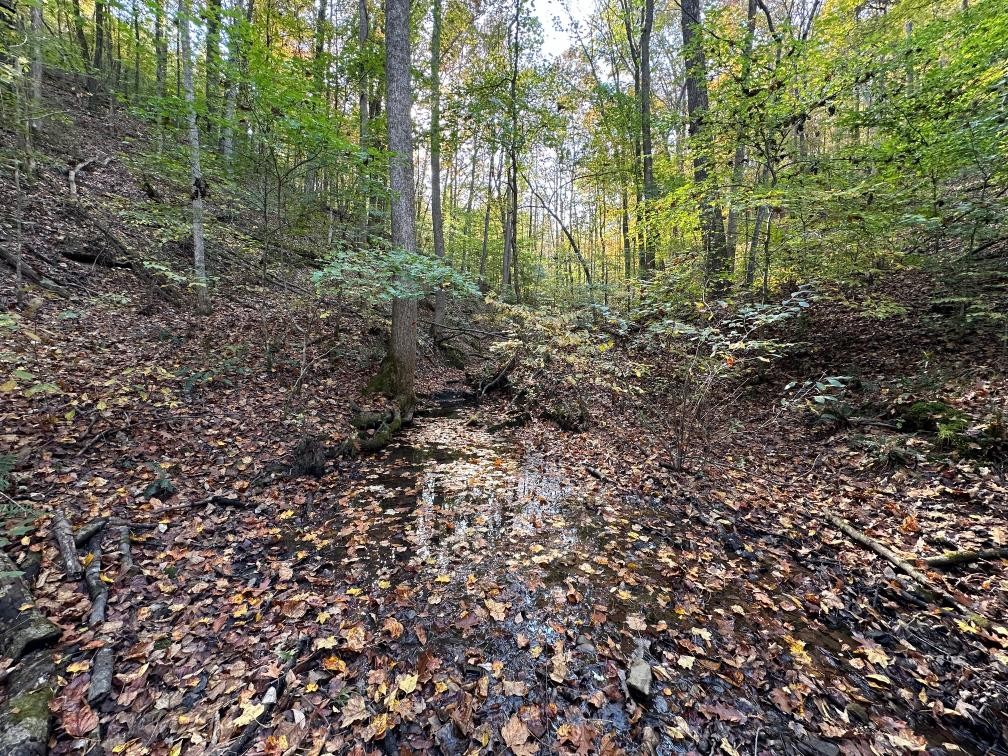 8180 Old Charlotte Pike