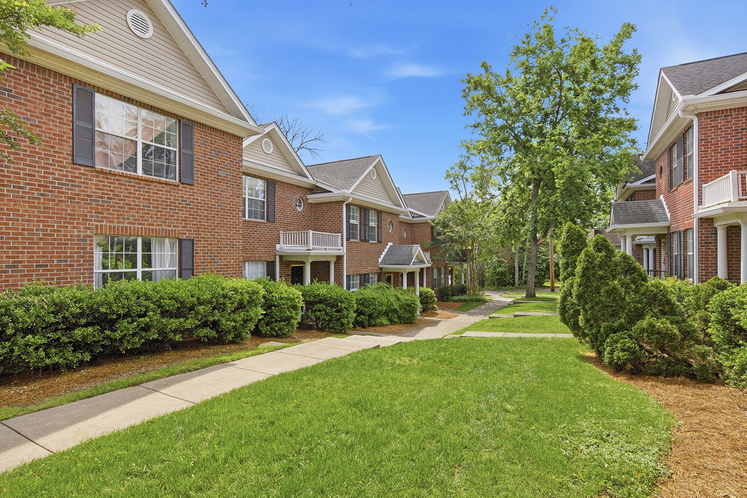 3161 Parthenon Ave 103