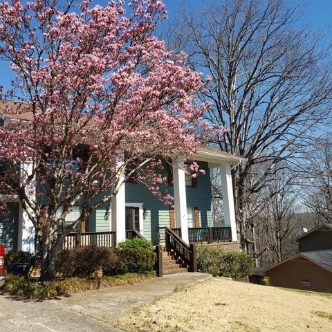 1809 Colonial Shores Drive