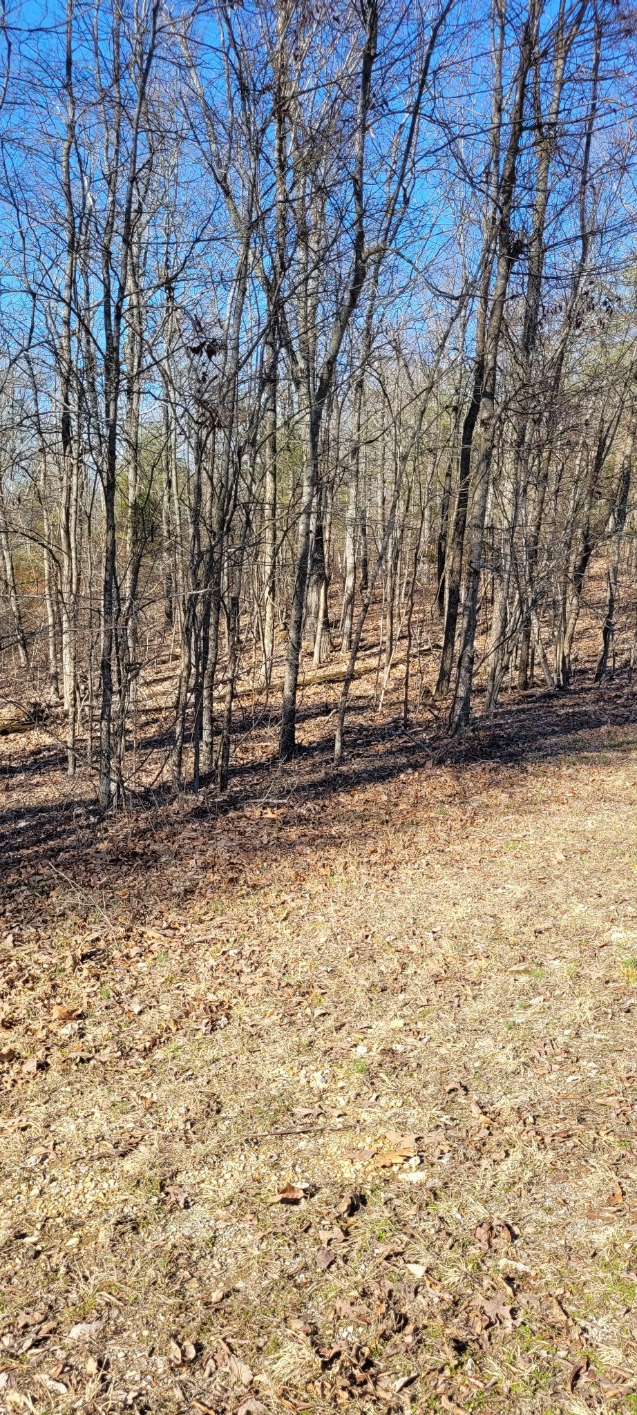 1 Eagle Shore Dr