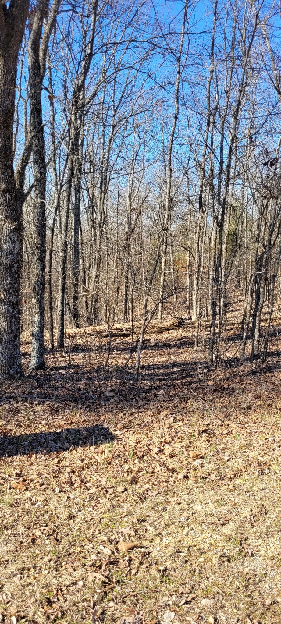 1 Eagle Shore Dr