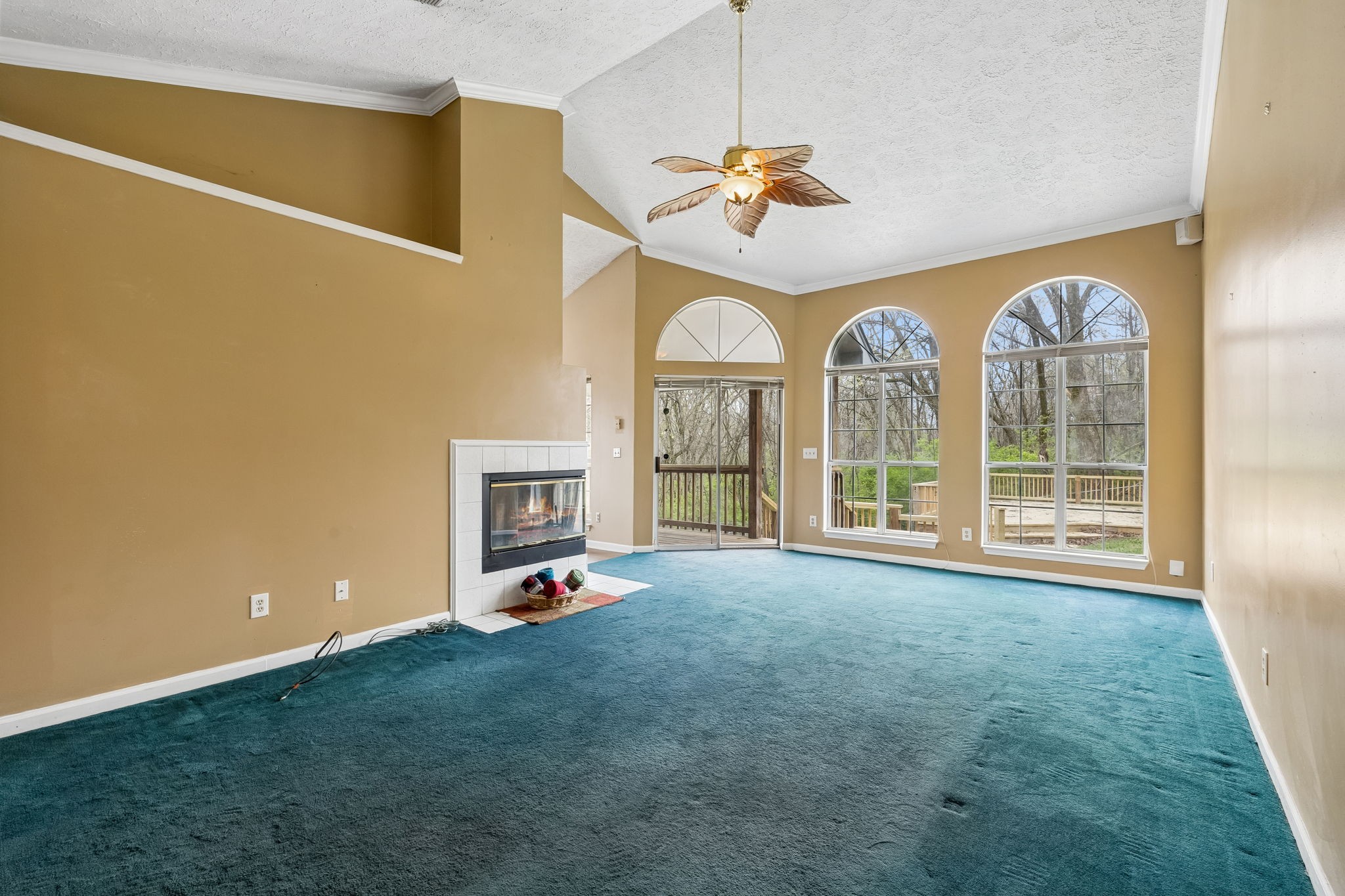 404 Black Mountain Dr