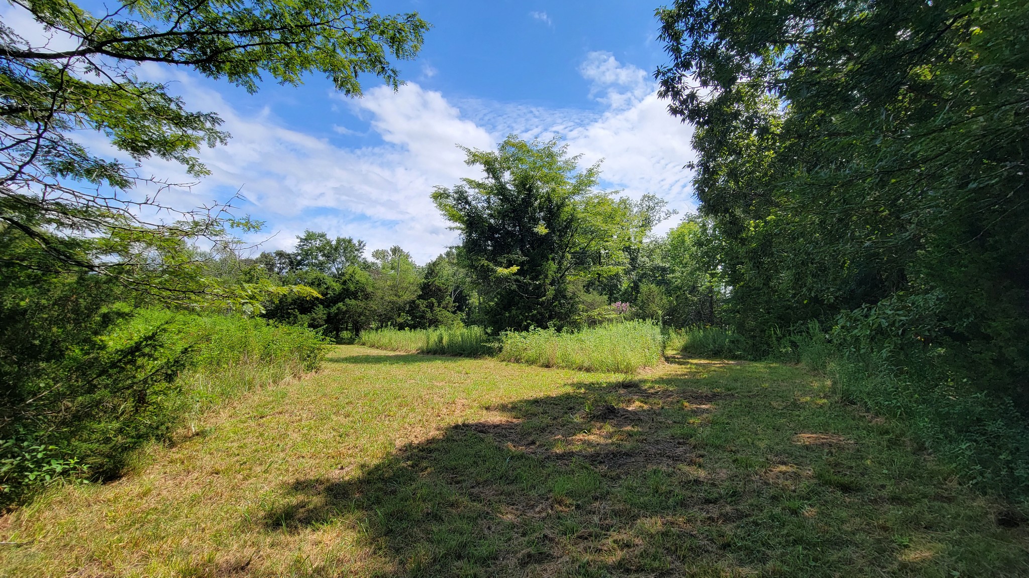 0 Murray Kittrell Rd