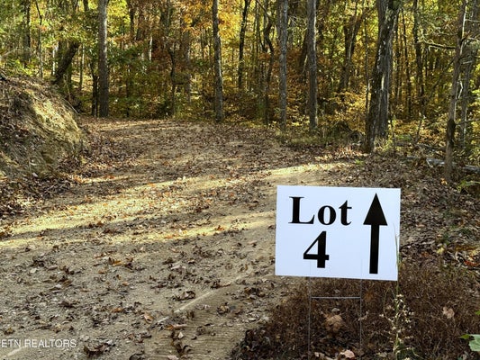 TOPAZ WAY, PARROTTSVILLE, TN 37843 - Image 2bba912f6ca140a39f4bb488e12c5f8e/840893089