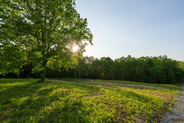 PINEWOOD RD, NUNNELLY, TN 37137 - Image 2bbfa4e1857df00a53ba724419e3d4c5/4199389579