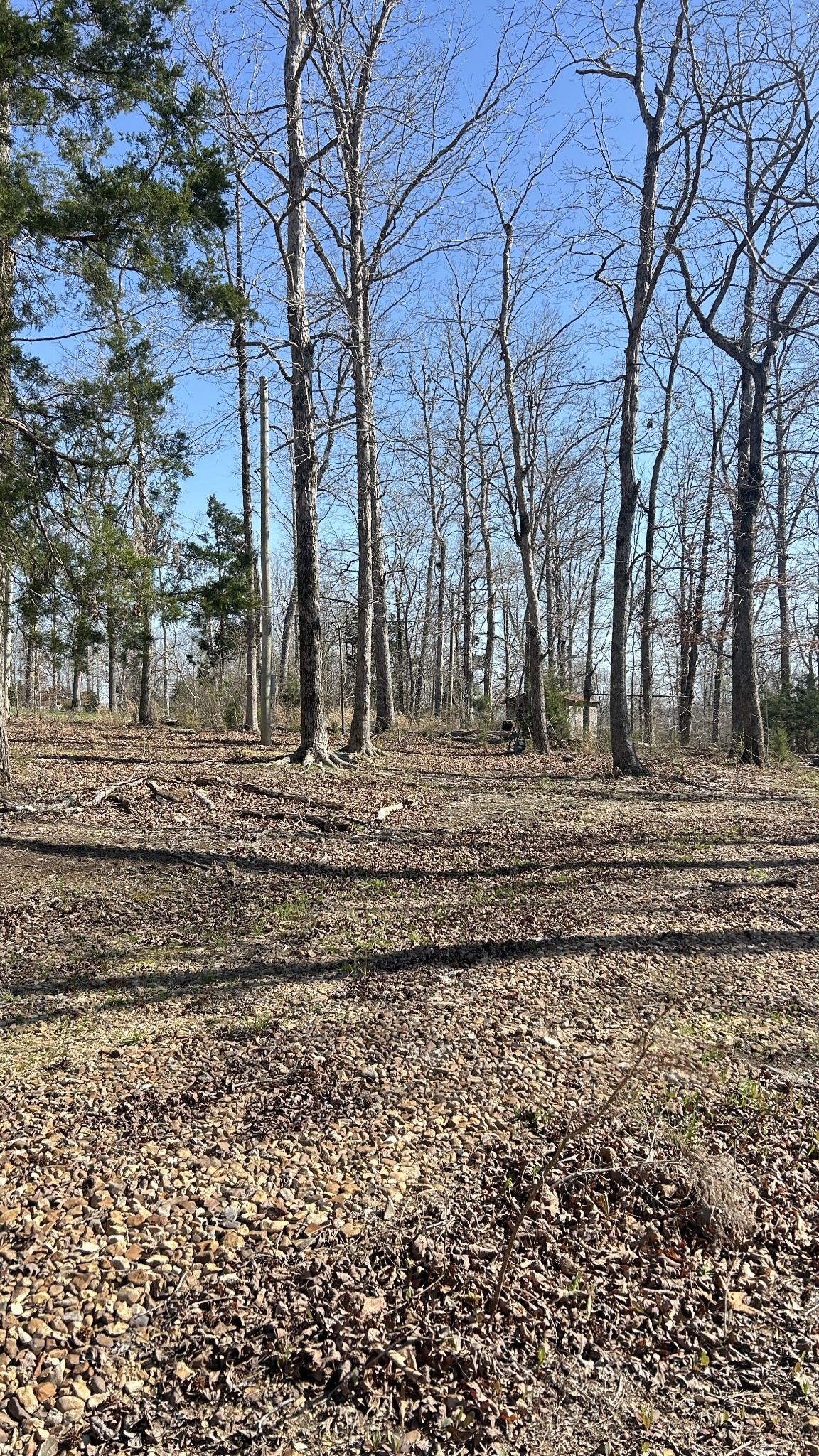 97 Cardinal Hollow Rd