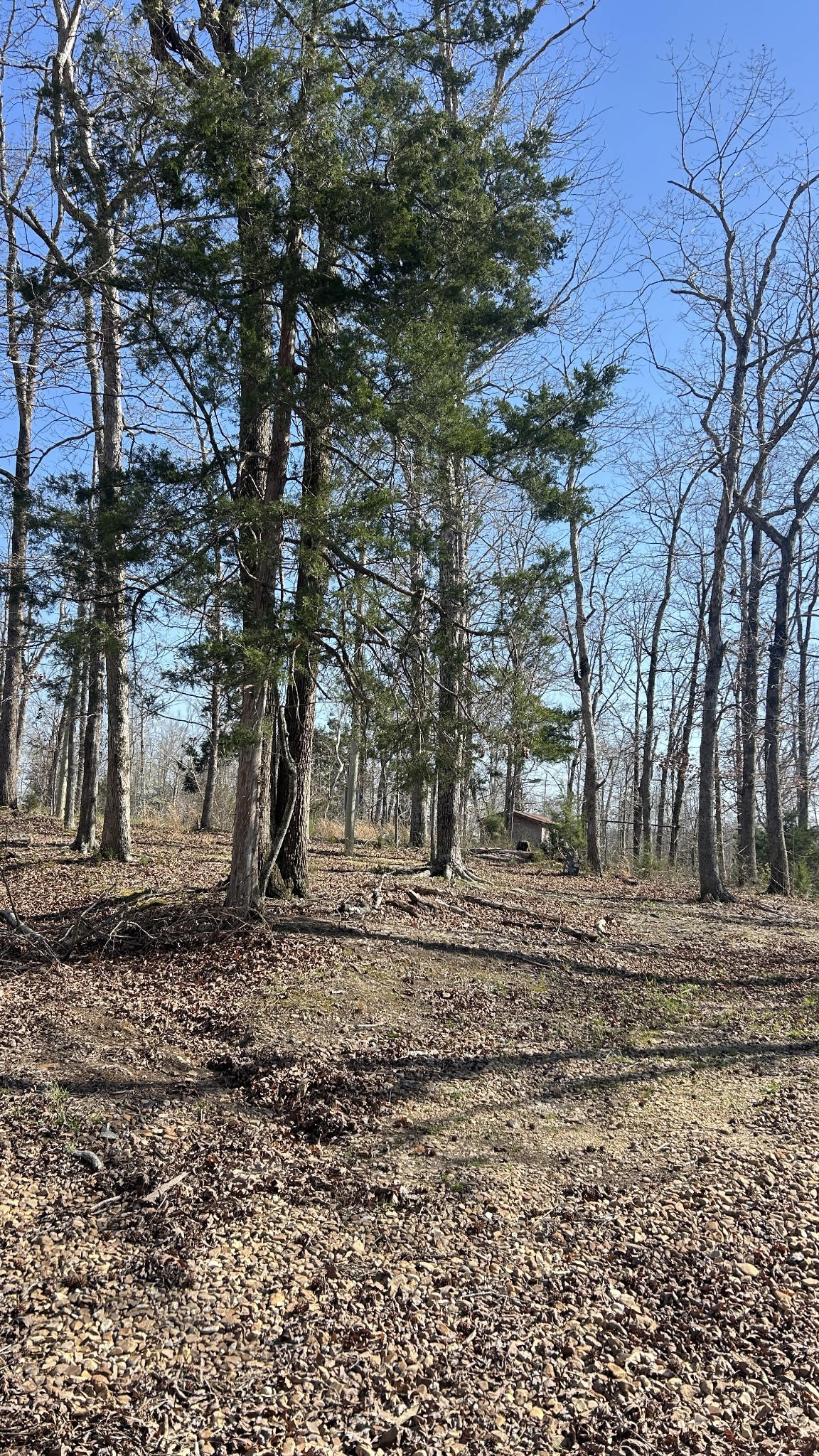 97 Cardinal Hollow Rd