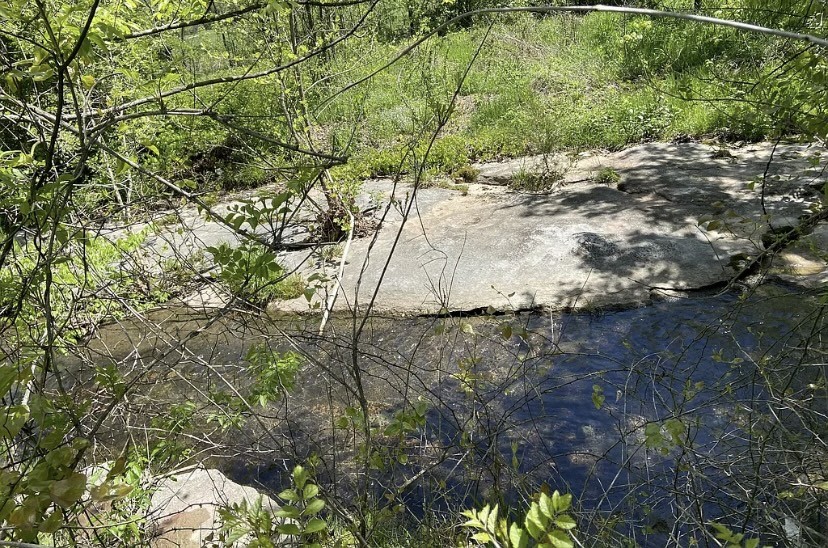 1595 Hurricane Creek Rd