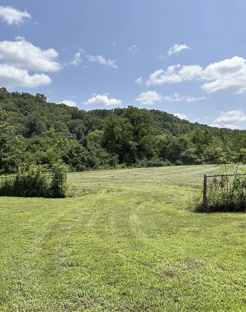 1595 Hurricane Creek Rd