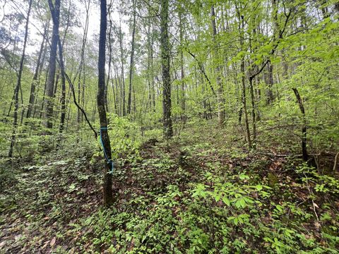 104 Bear Den Trl Grandview TN 37337