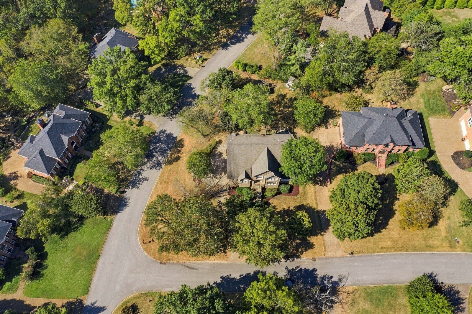 809 Vivians Way